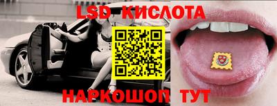 PSILOCYBIN Заволжье