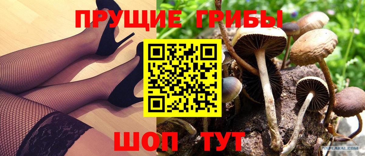 Галлюциногенные грибы ЛСД  хочу наркоту  Иркутск  Вход с VPN 