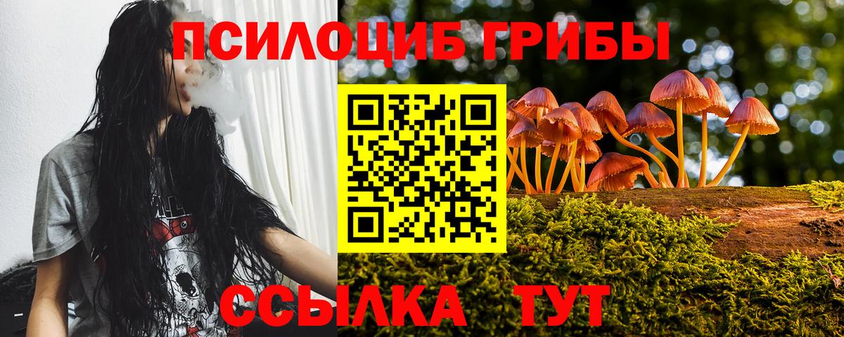Псилоцибиновые грибы прущие грибы Иркутск